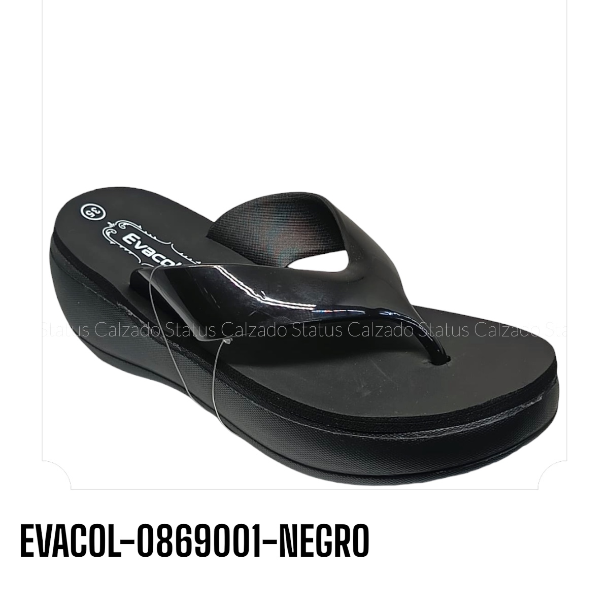 EVACOL-0869001-NEGRO