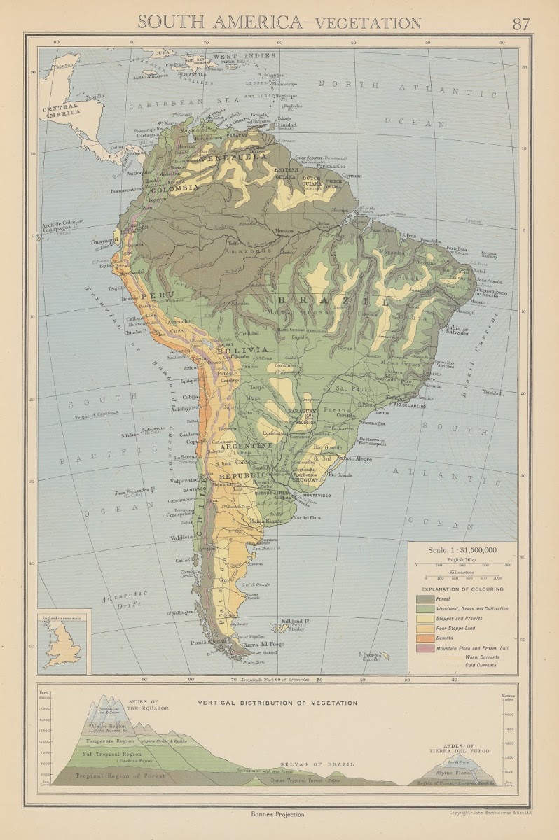 South America Vegetation 1942