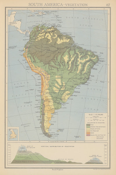 South America Vegetation 1942