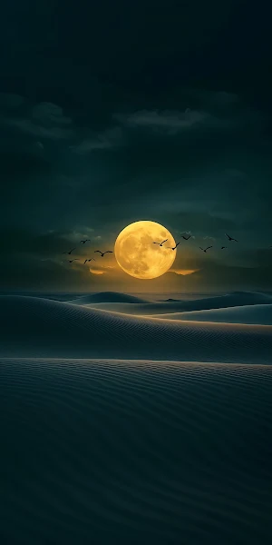 Moonlight, Nightscape, Desert, Birds 4K iPhone Wallpaper Background