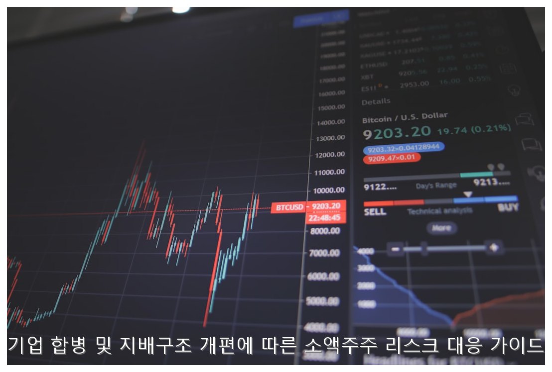 기업 합병·지배구조 개편 리스크 대응 가이드 핵심 안내 및 분석 인포그래픽 (4)