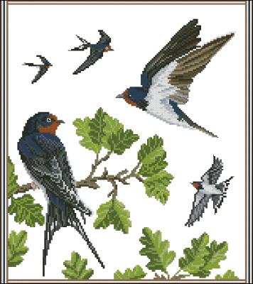 CMP 360065 Swallows With Spring