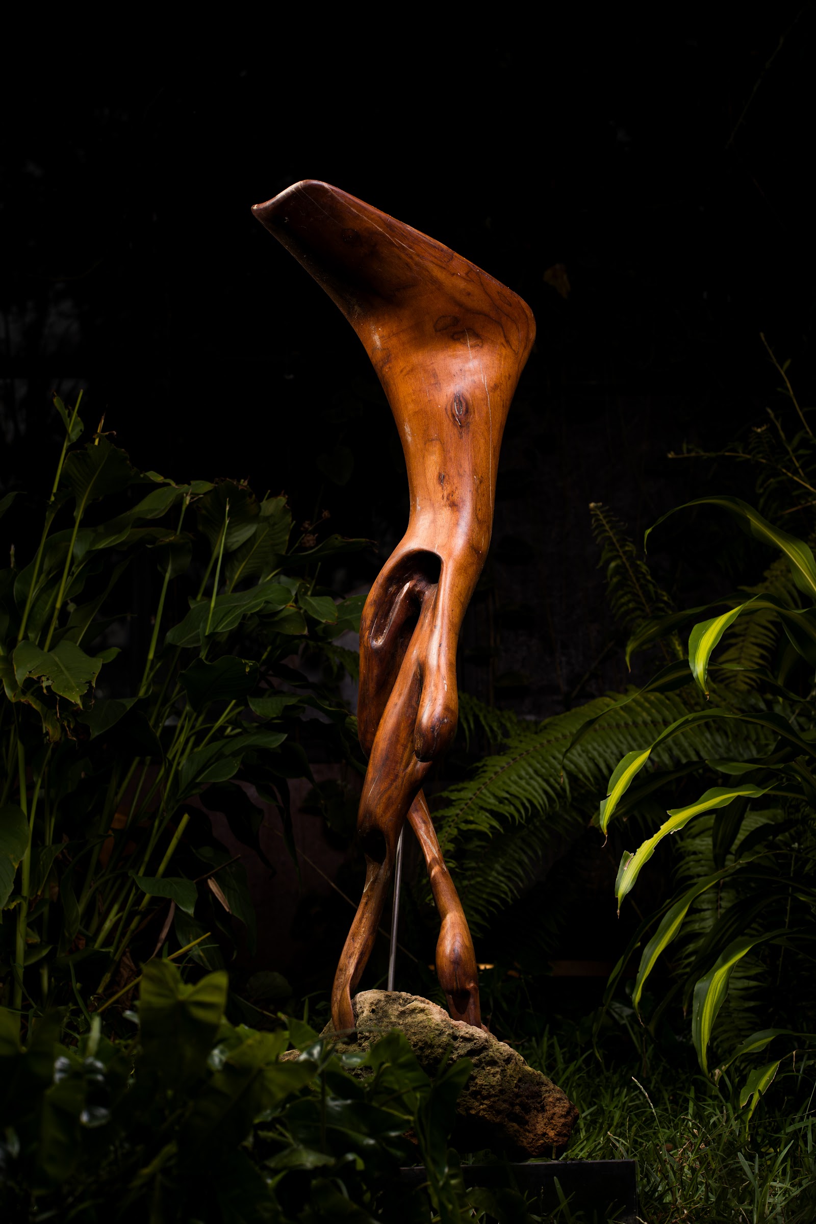 Poised, studio view 2