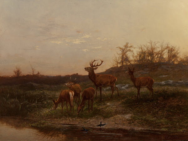 At the Watering Hole