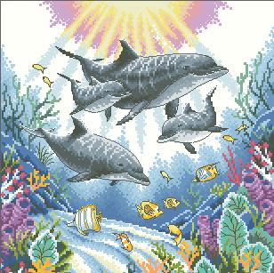 DIM35186 Dolphin Morning