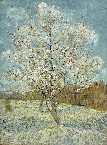 The pink peach tree 1888