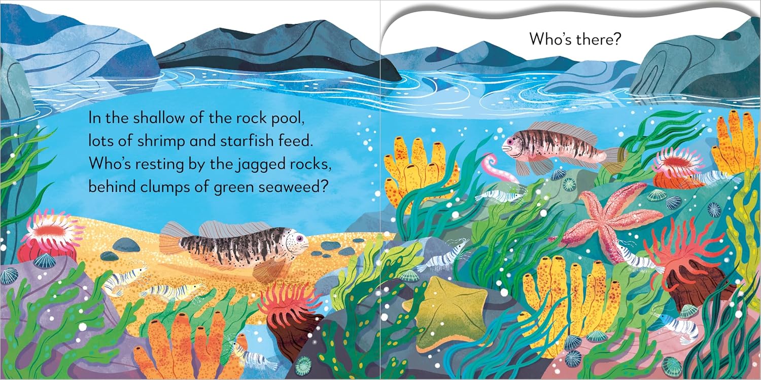 Pop-Up Peekaboo! Seashore - thumbnail 2
