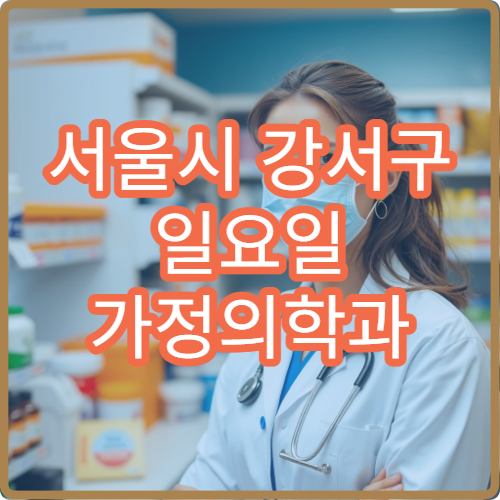 서울시 강서구 일요일 가정의학과 진료 건강검진·만성질환 상담 병원