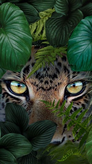 Leopard Leaves Picture