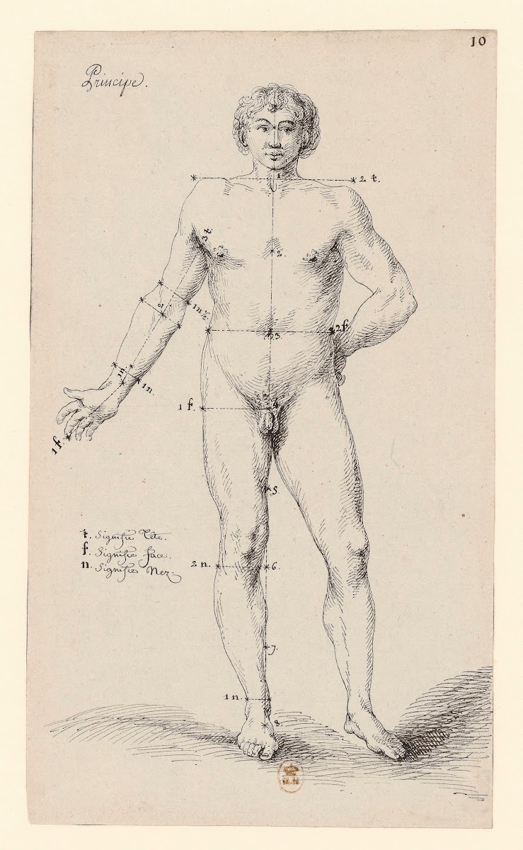 Principe anatomie masculine 1777 1825