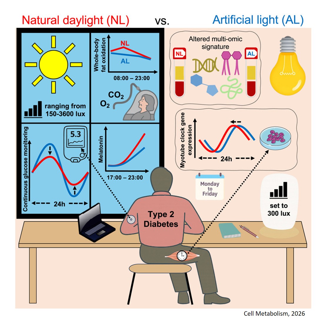 Exposure to natural light improves metabolic health