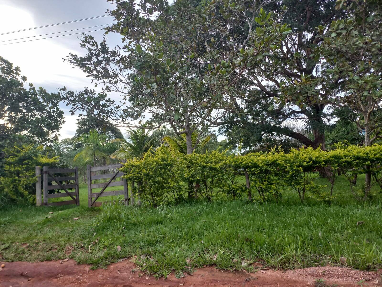 Chácara no Município de Hidrolândia - GO 4