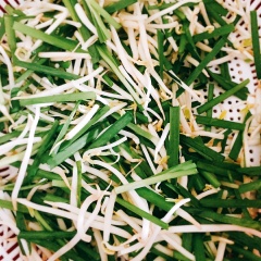 Giá, hẹ rửa sạch, trụng sơ với nước sôi.