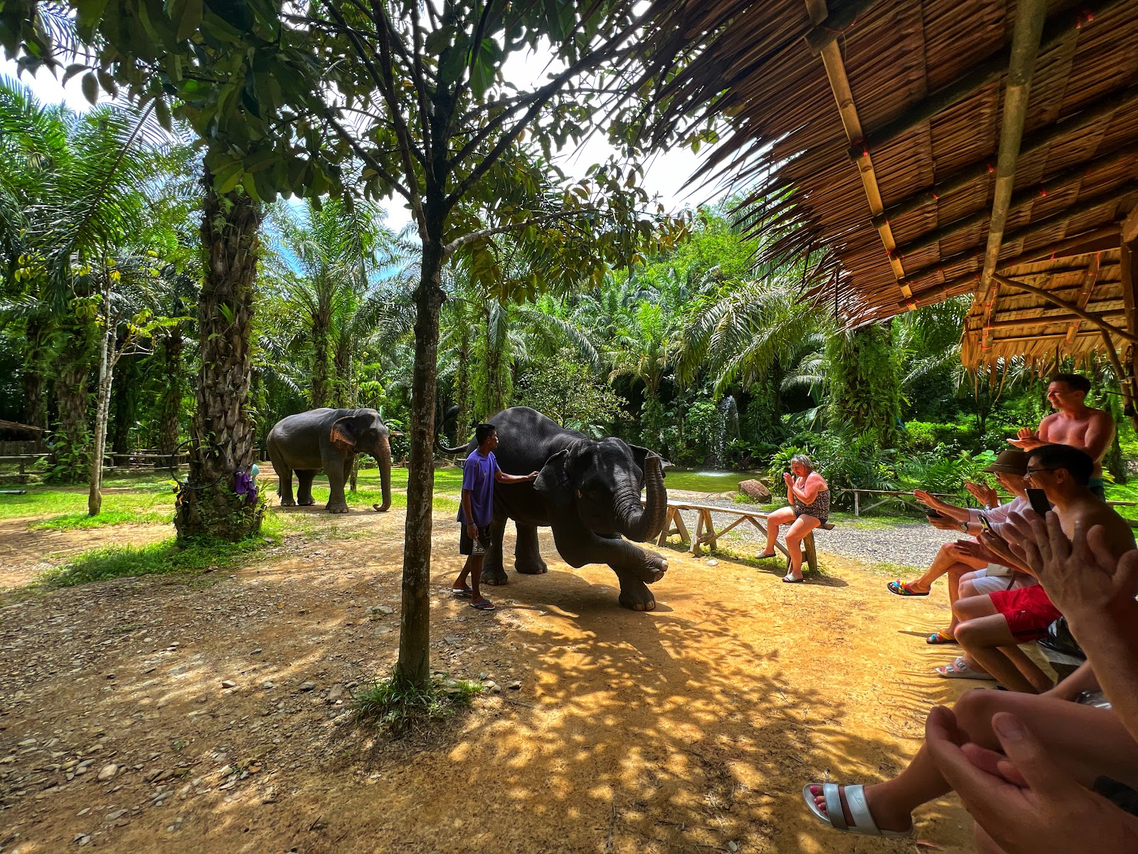KHAOLAK SAFARI (1-DAY TRIP) 5