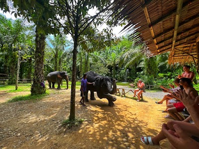 Приватный · KHAOLAK SAFARI (1-DAY TRIP) photo 5