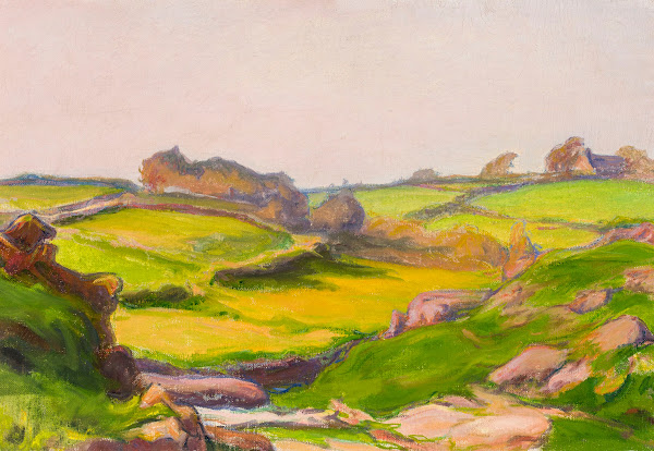 Field in Janowiec circa 1911