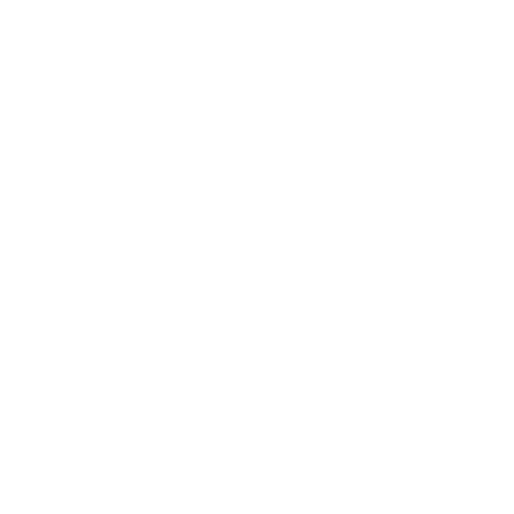 AI model 13