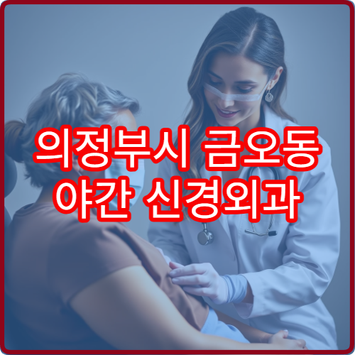 의정부시 금오동 야간 신경외과 허리디스크 통증 진료 병원 안내