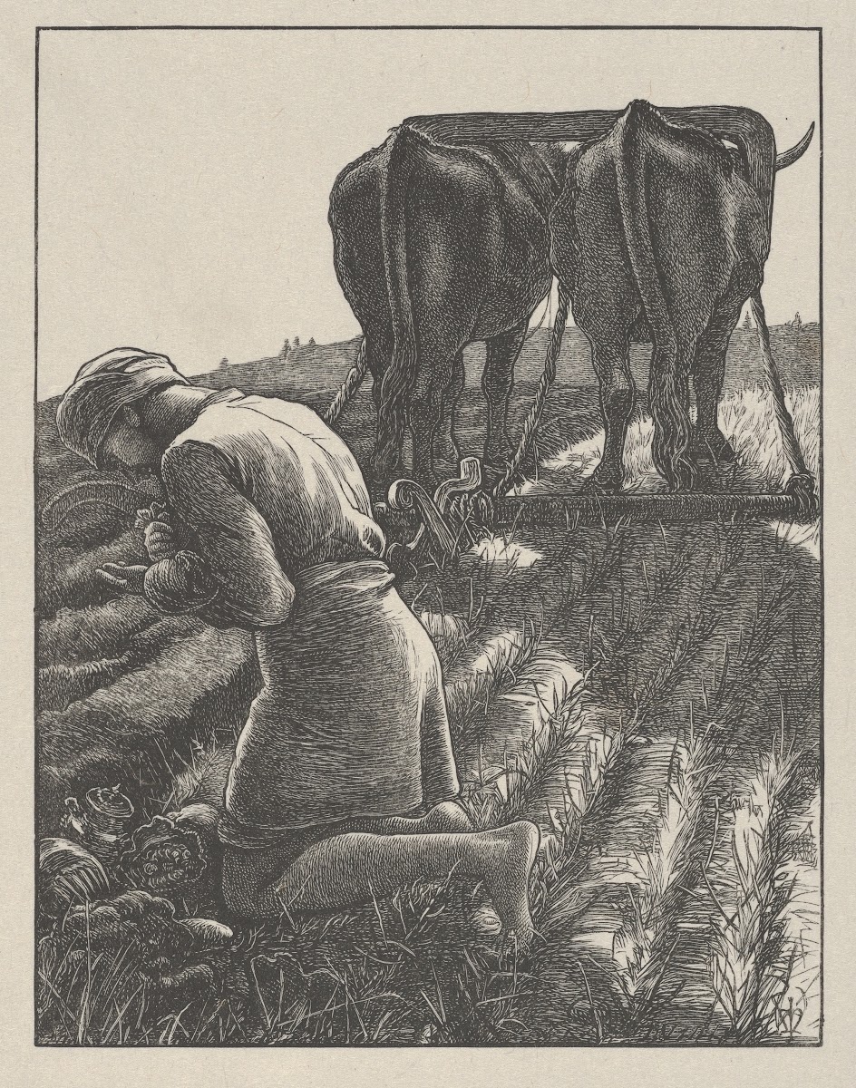 The Hidden Treasure 1864