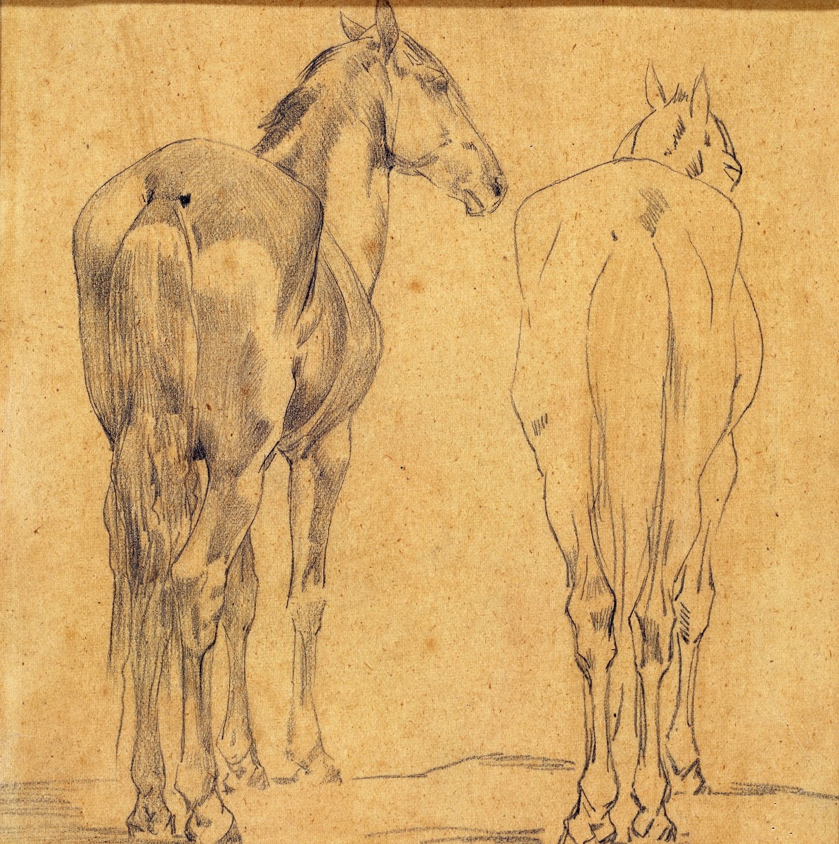Two Horses study 19th century