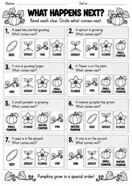 Pumpkin Life Cycle Scenario Thinking Worksheet