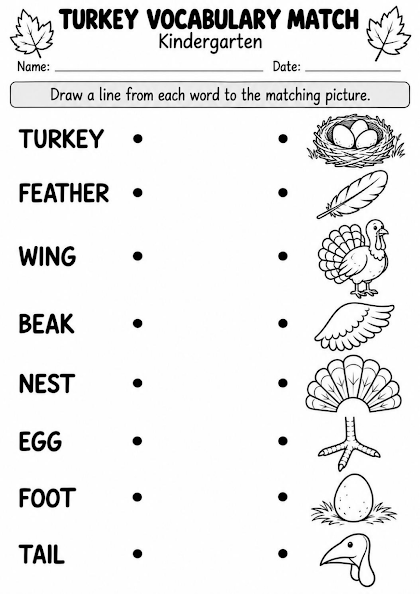 Turkey Vocabulary Match Worksheet