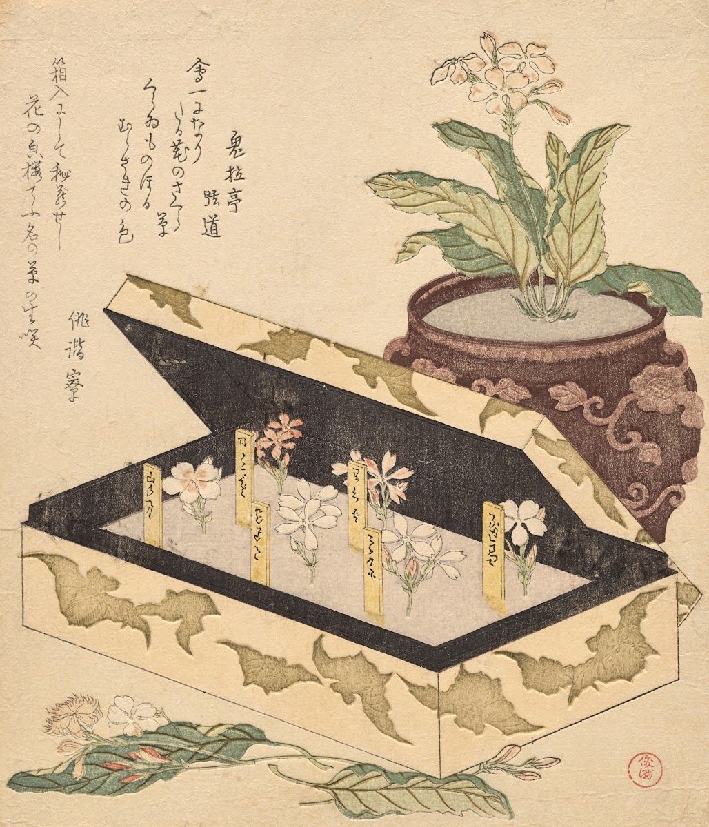 Assortment of primroses in a lacquerbox ca 1818