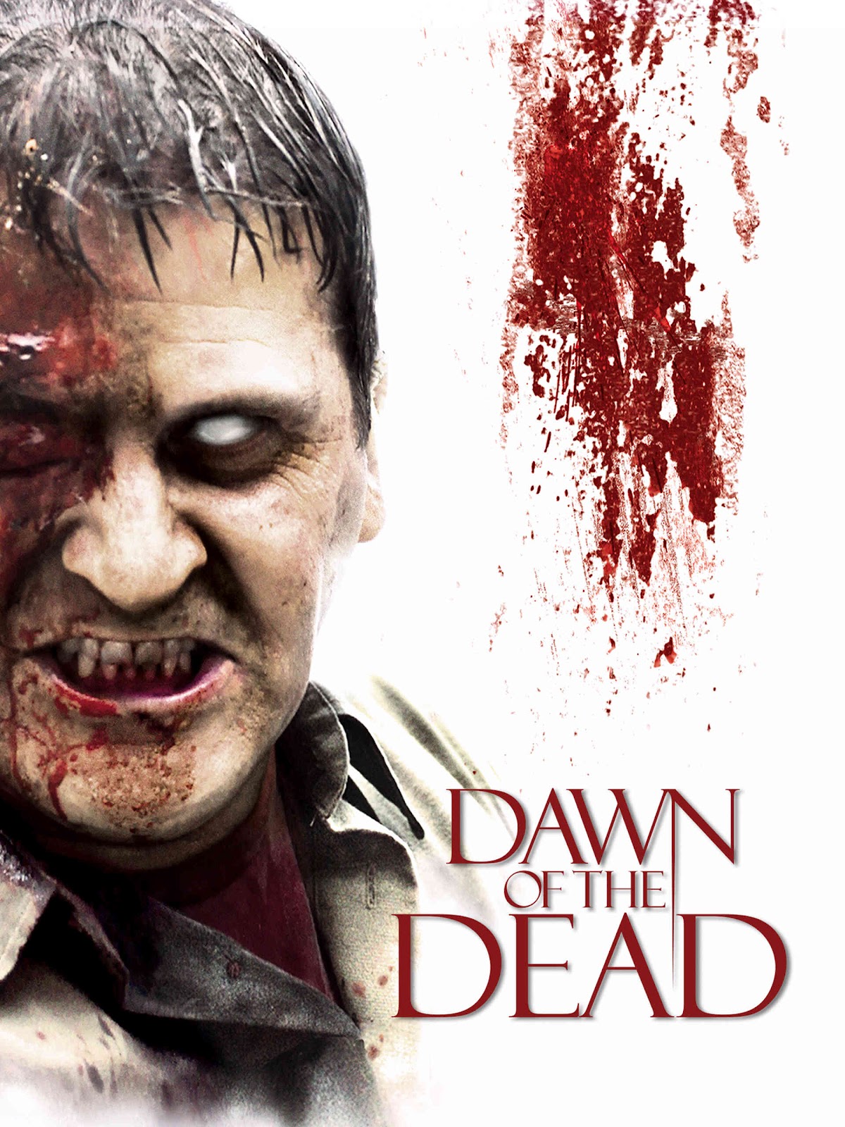 Dawn of the Dead (2004) (Hindi) Hollywood Movie BluRay HD Download 