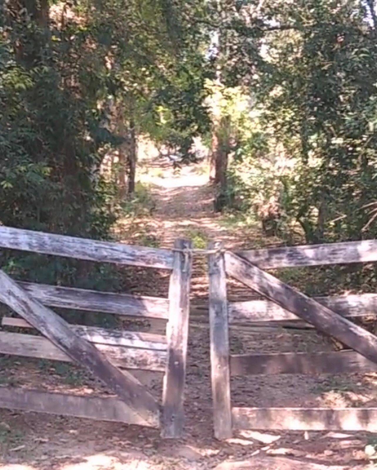 Sítio em Santa Cruz de Goiás-GO 6