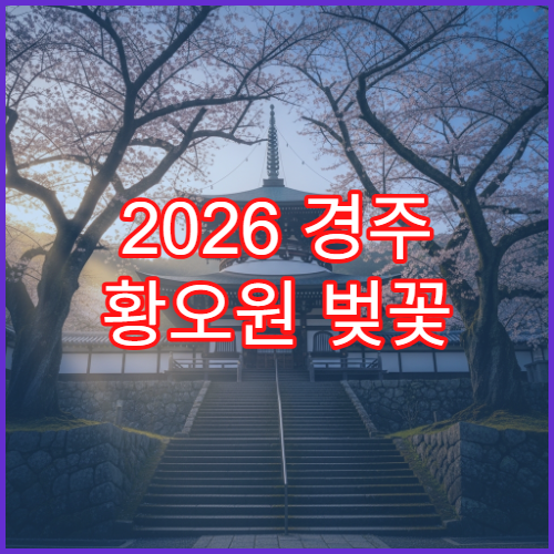 2026 경주 황오원 벚꽃 재방문 이유 평일vs주말 솔직 후기 비교