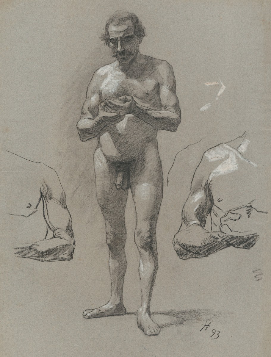 Study of a standing male nude