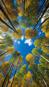 Deep Indigo Abstract Smoke and Wave Pattern