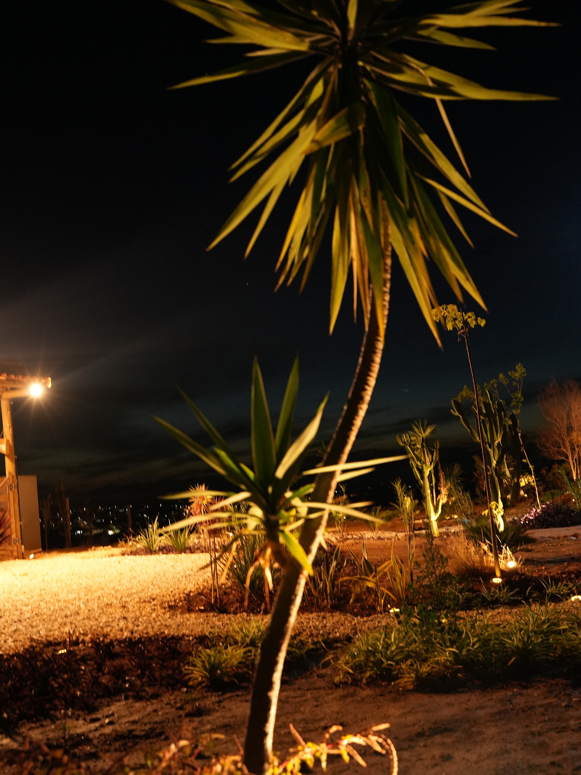 Jardim noturno de um chalé na Serra do Cipó, iluminado por spots de luz baixa entre plantas nativas e cactos