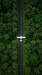 Winding Road Through Autumn Forest
