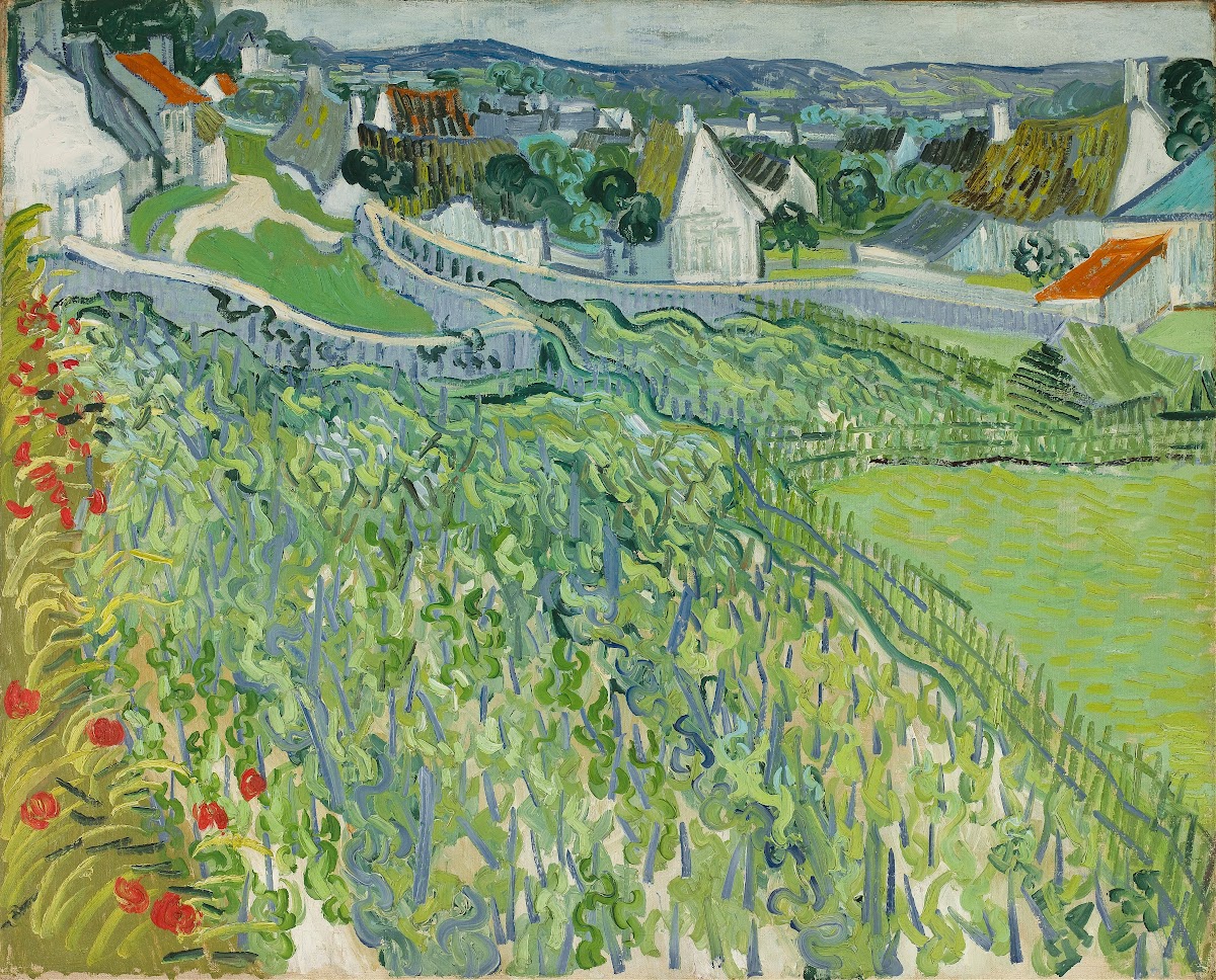 Vineyards at Auvers 1890