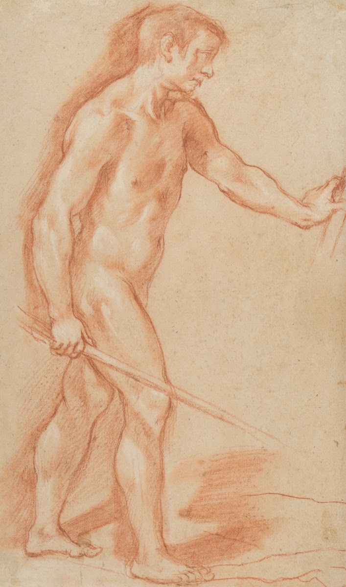 Standing Male Nude