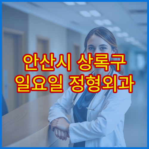 안산시 상록구 일요일 정형외과 진료 병원 무릎통증·디스크 상담 가능