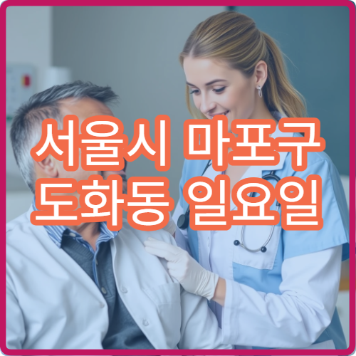 서울시 마포구 도화동 일요일 정신건강의학과 불안 상담