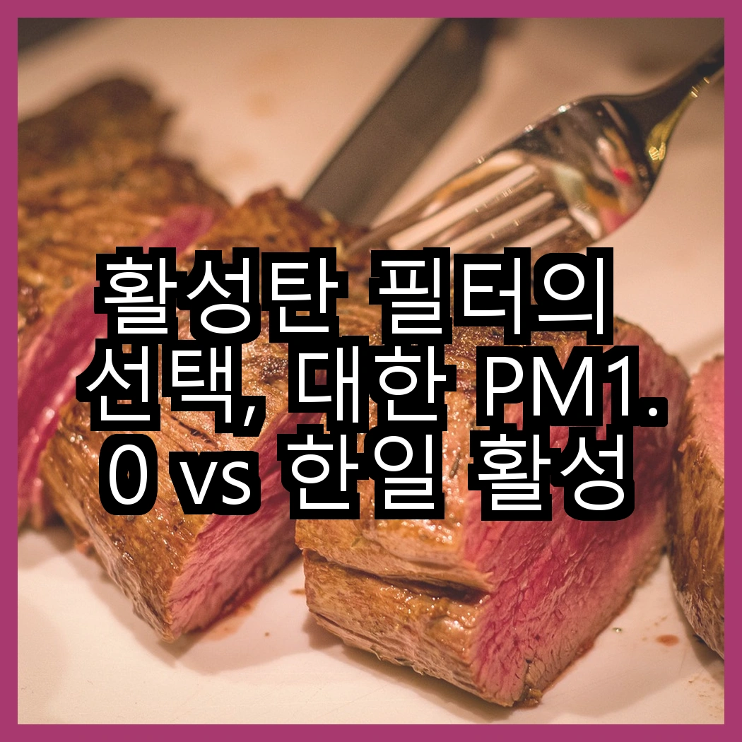 활성탄 필터의 선택, 대한 PM1.0 vs 한일 활성탄, 당신의 차량은 어떤 공기를 마실까요? 썸네일
