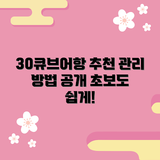 30큐브어항 추천, 30큐브어항 관리 방법, 30큐브어항의 장점은 무엇인가, 왜 30큐브어항을 선택해야 하나