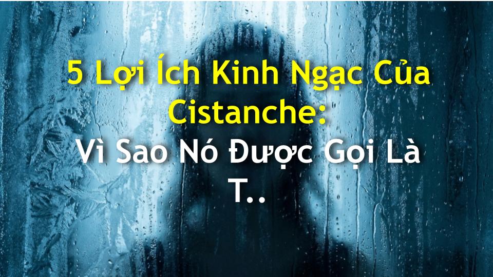 5 Lợi Ích Kinh Ngạc Của Cistanche: Vì Sao Nó Được Gọi Là Thảo Dược Trường Sinh