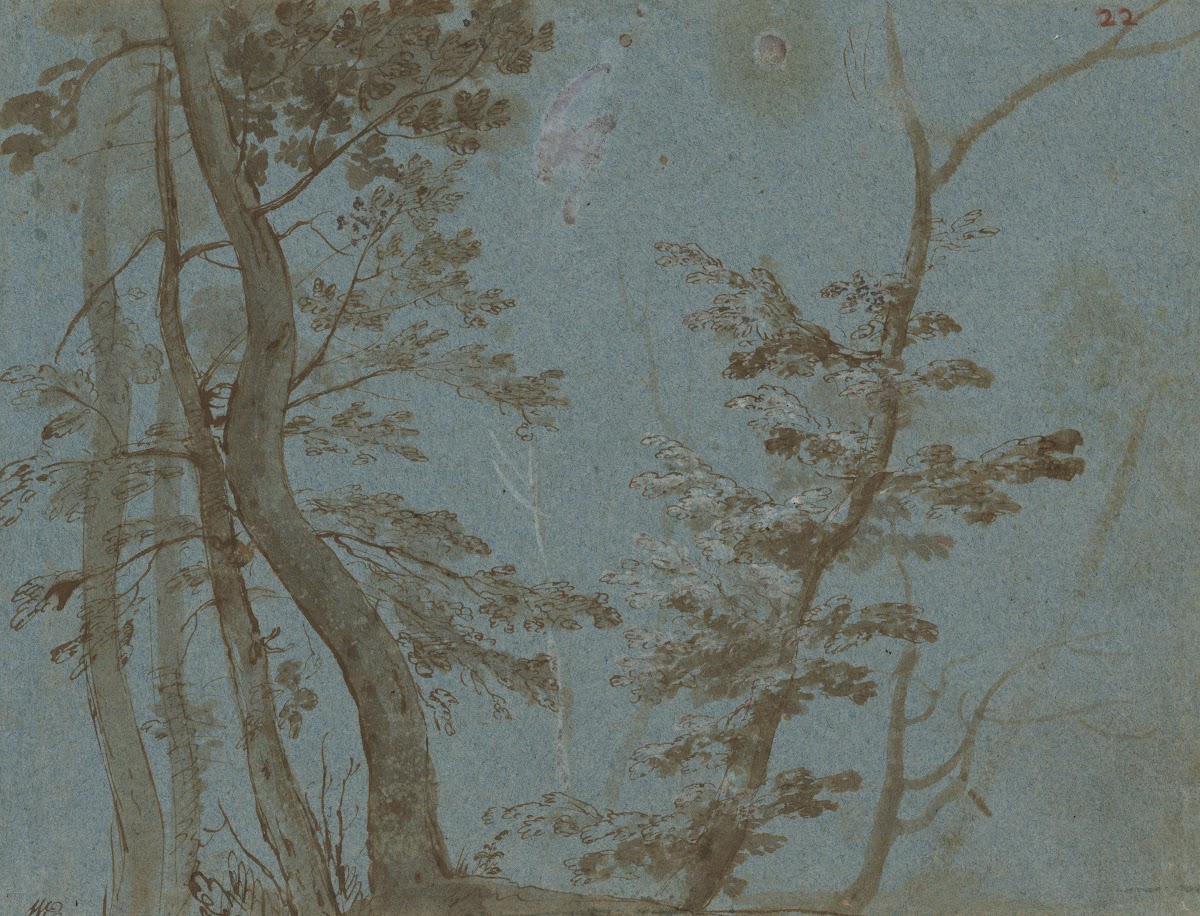 Trees ca 1650