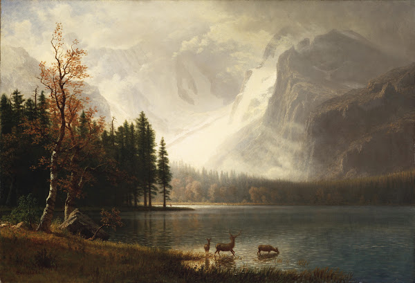 Estes Park Colorado Whytes Lake circa 1877