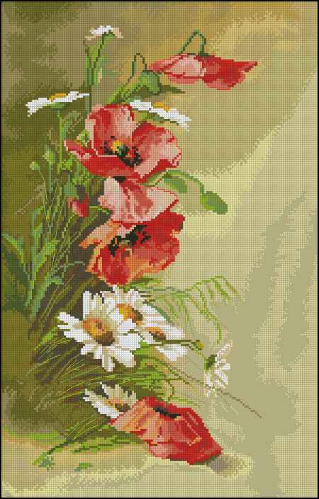 CMP 171439 Poppies And Daisies