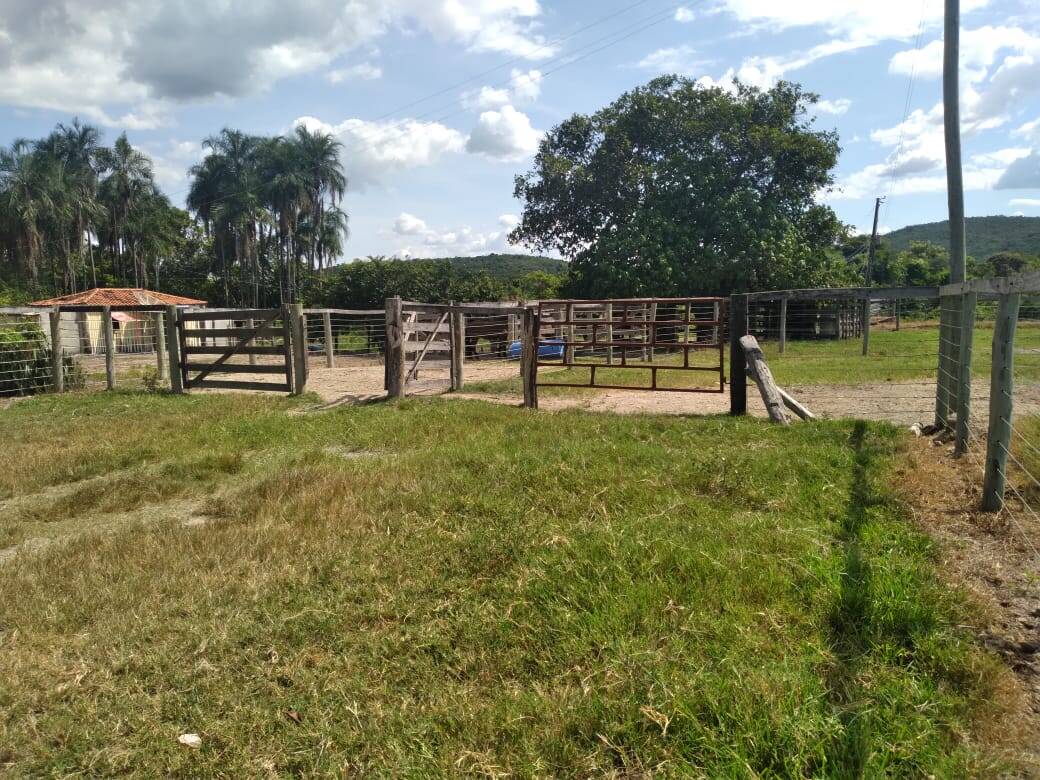 Fazenda em Pontalina-GO 7