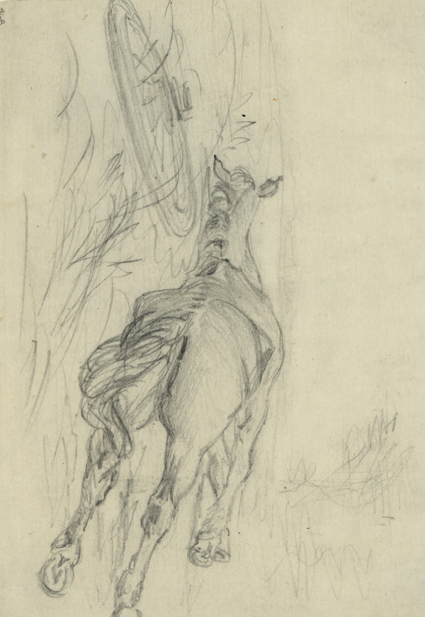 Sketch of a dead horse 1860 1865