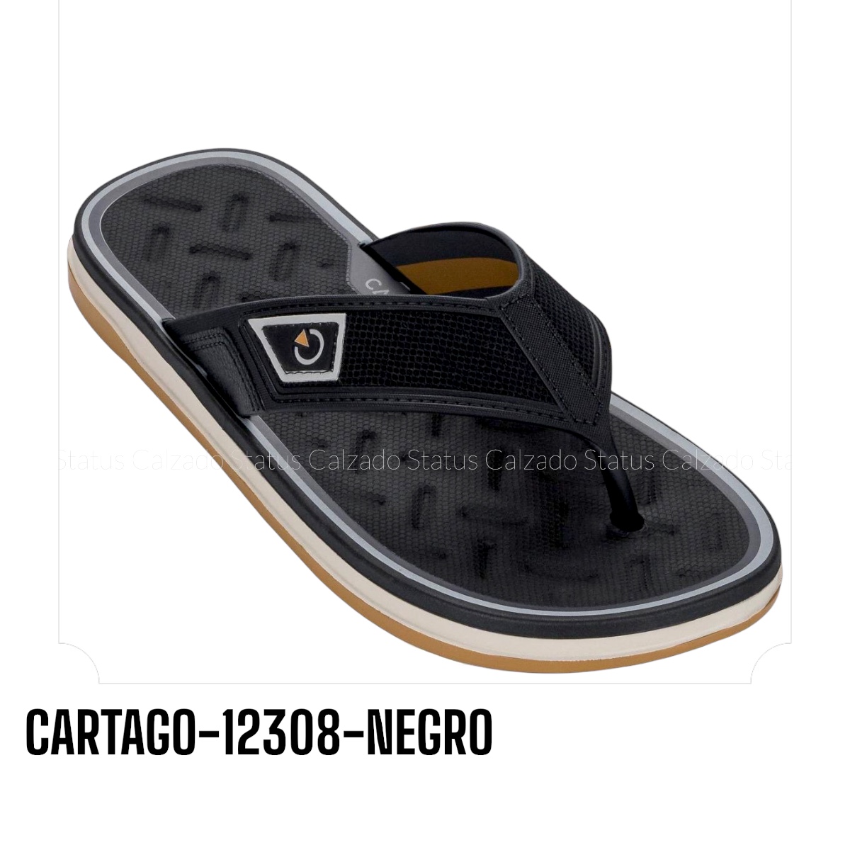 CARTAGO-12308-NEGRO