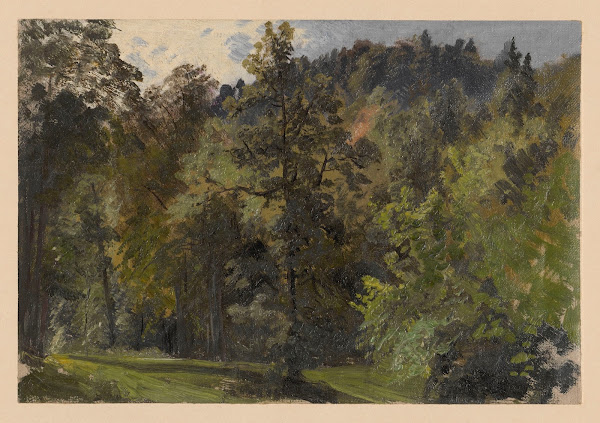 Trees in the Szczawnik valley 1850 1881