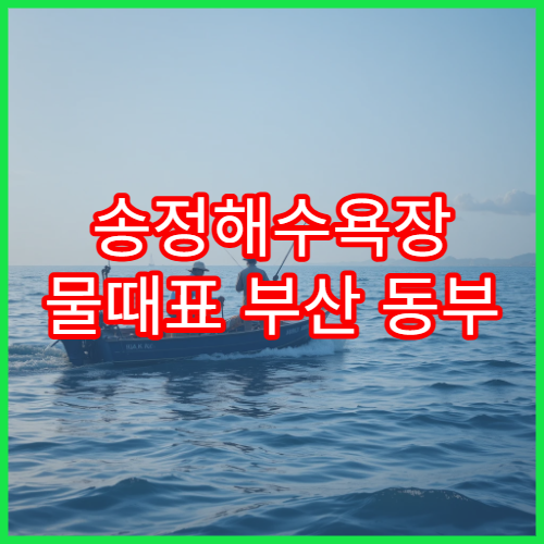 송정해수욕장 물때표 부산 동부 바다타임과 낚시시간 정리