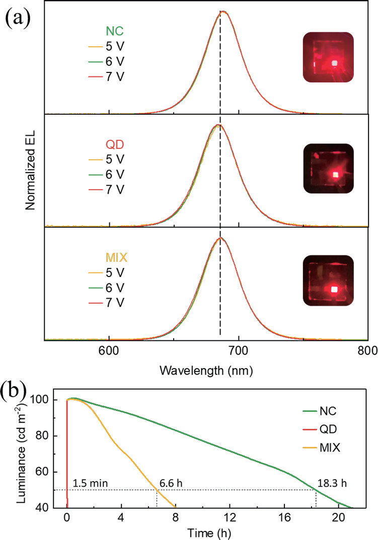 Size matters: quantum confinement-driven dynamics in CsPbI3 quantum dot light-emitting diodes